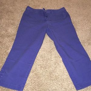 Ann Taylor Loft blue crop pants